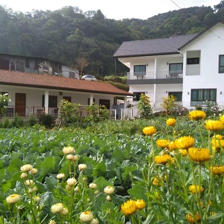 Ng Family’s Farm Stay Cao nguyên Cameron Ngoại thất bức ảnh