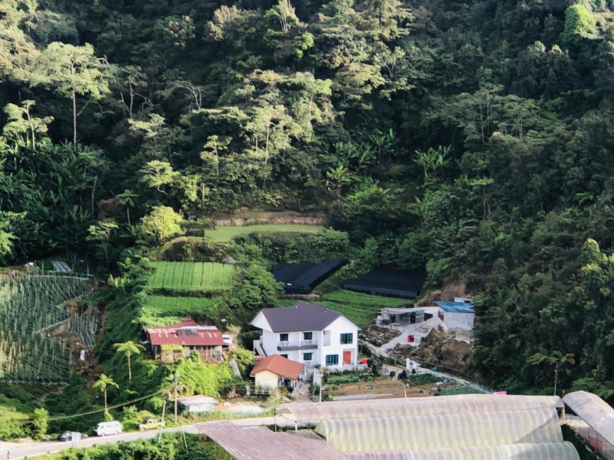 Ng Family’s Farm Stay Cao nguyên Cameron Ngoại thất bức ảnh