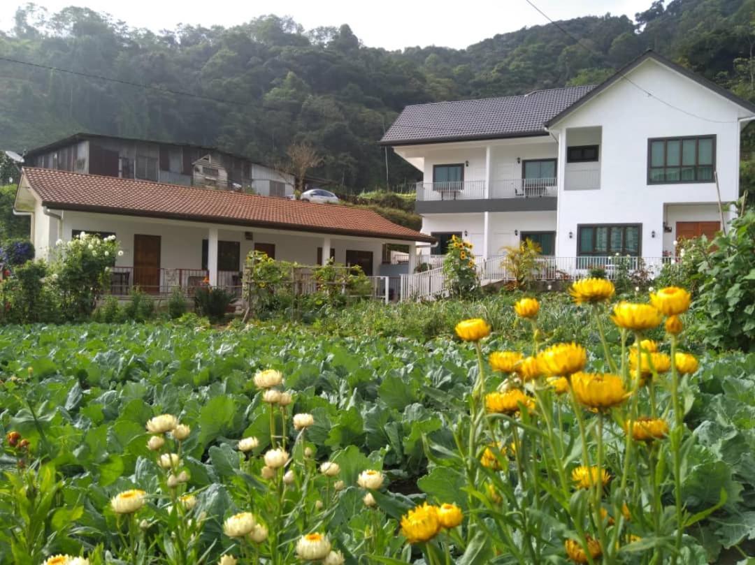 Ng Family’s Farm Stay Cao nguyên Cameron Ngoại thất bức ảnh
