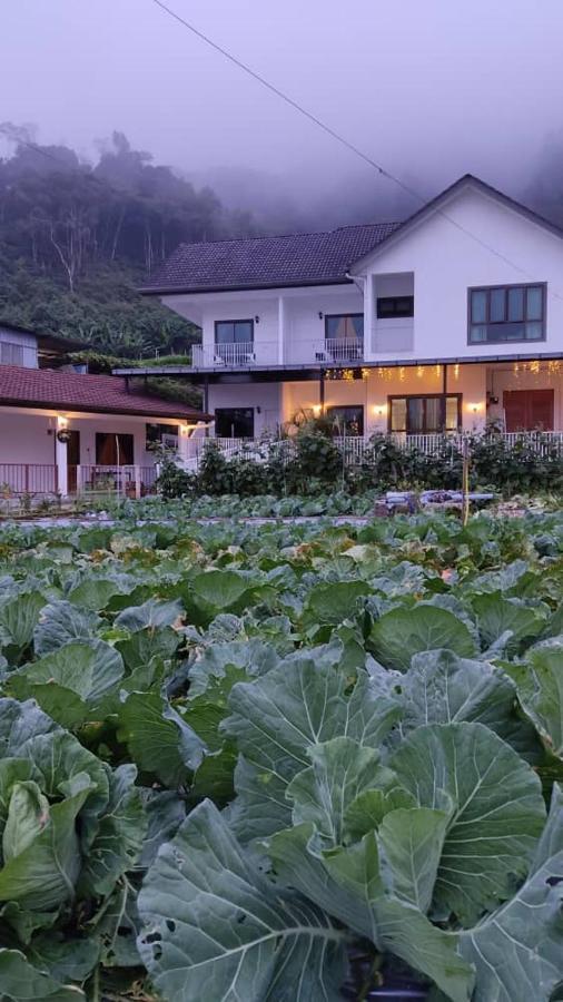 Ng Family’s Farm Stay Cao nguyên Cameron Ngoại thất bức ảnh